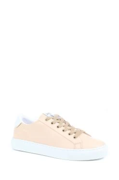 Boutique Fashion Shoe Store -Boutique Fashion Shoe Store 514219s2