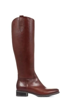 Jones Bootmaker Womens Cinzia Brown Leather Riding Boots