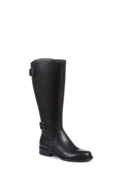 Boutique Fashion Shoe Store -Boutique Fashion Shoe Store D26051s2